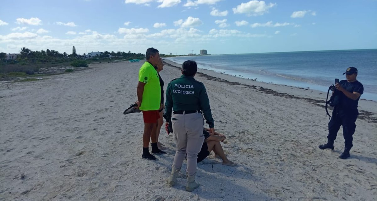 Gestionan en Mazatlán una policía especializada contra la contaminación en playas