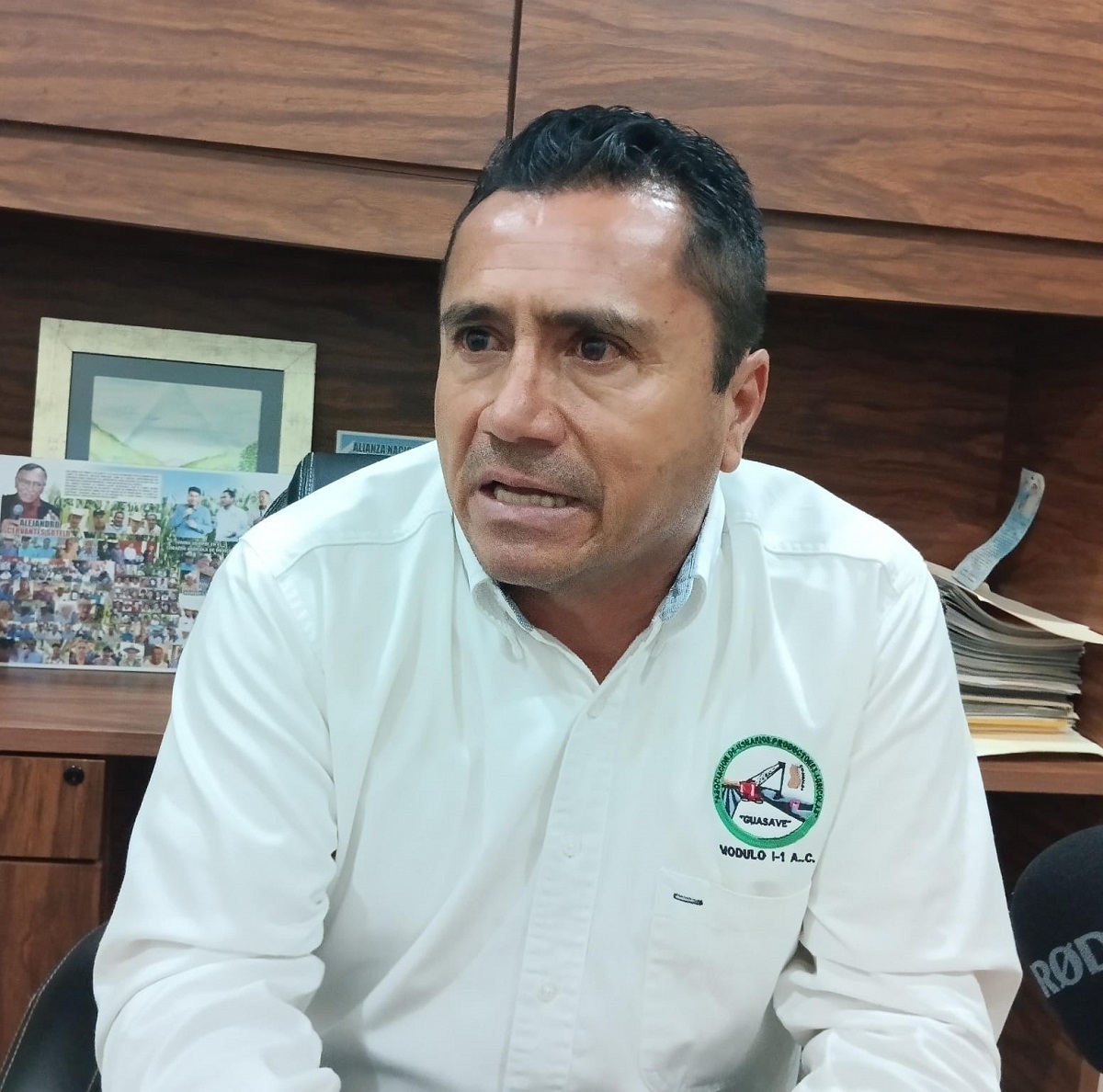 ¡Un granito de arena! Autoridades y módulos de riego unen esfuerzos en campaña de arborización en Guasave