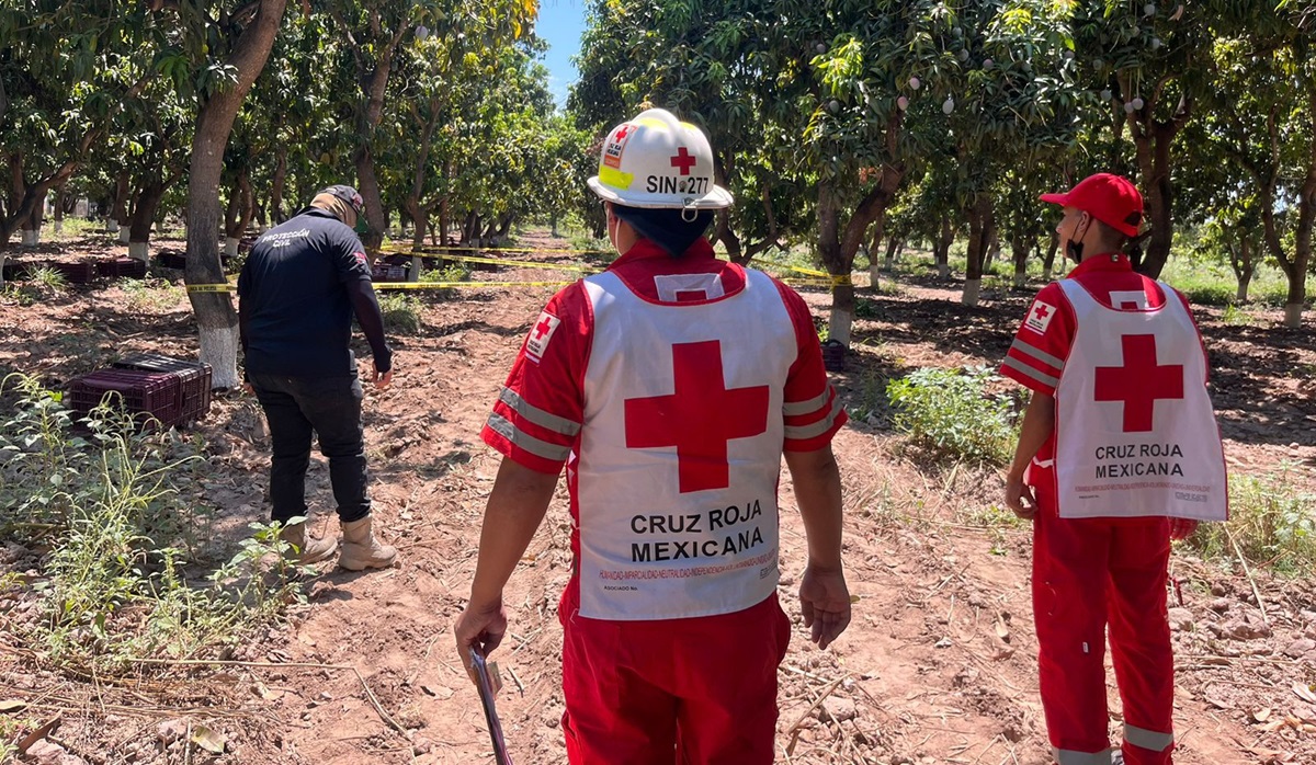 Hombre pierde la vida al recibir descarga eléctrica cuando cortaba mangos en El Fuerte