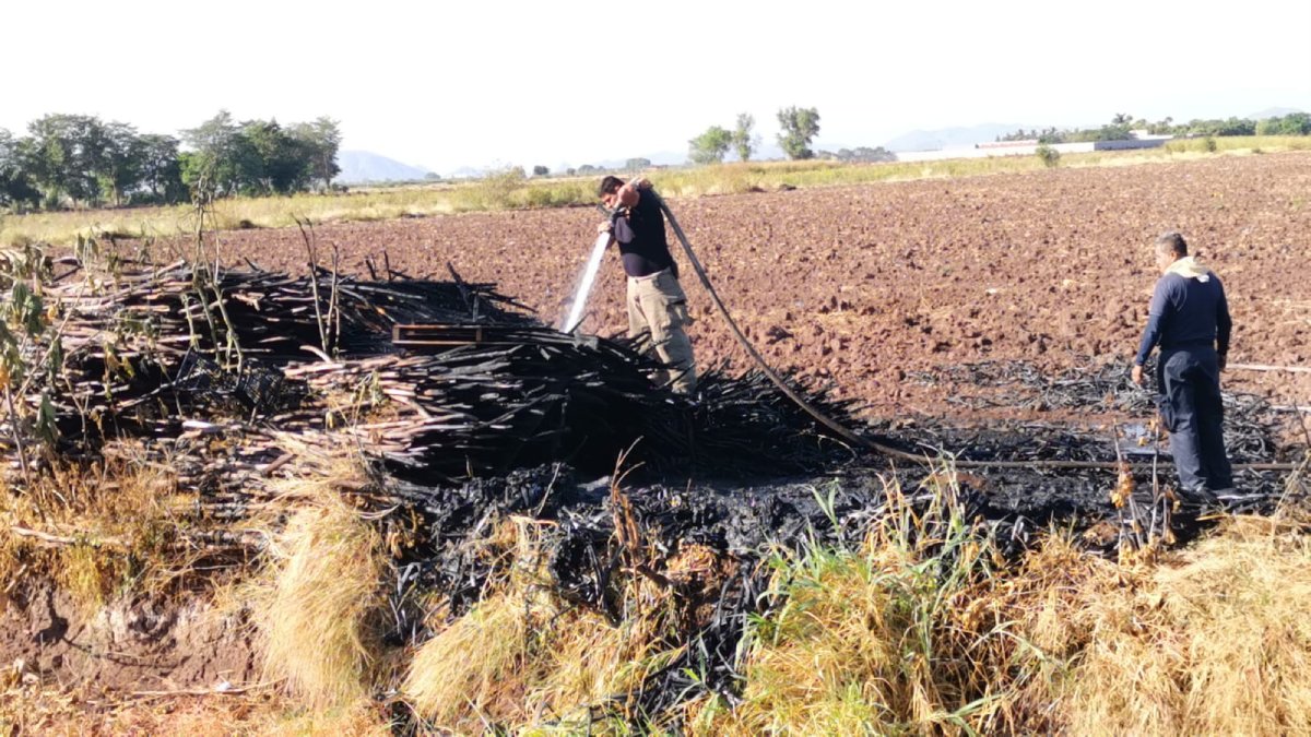 Incendio de tarimas en un domicilio particular moviliza a los cuerpos de auxilio de Los Mochis