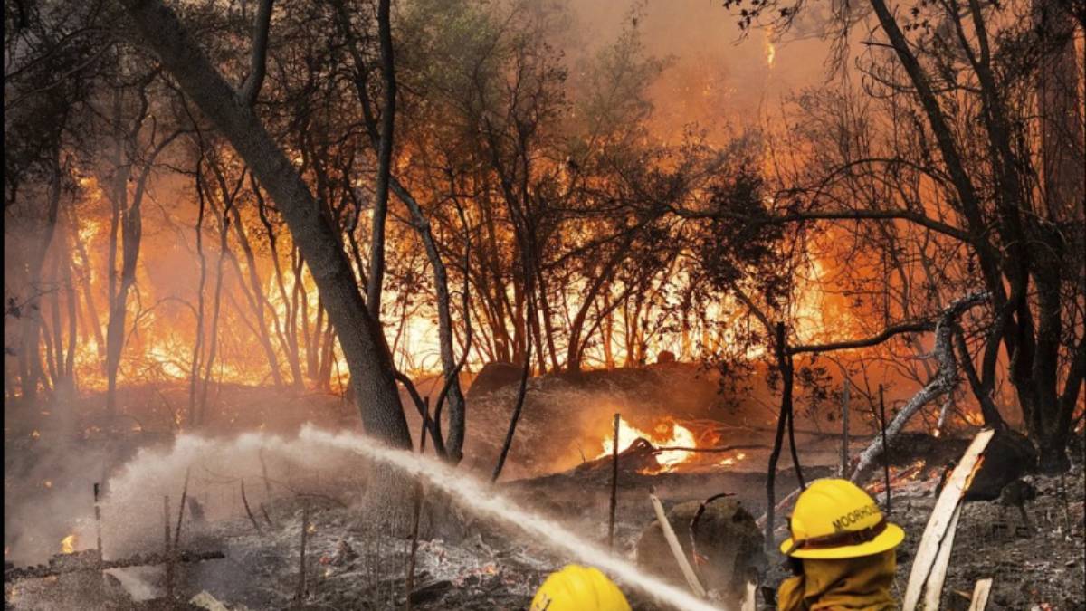 Incendio Park: El devastador siniestro que asola California en 2024