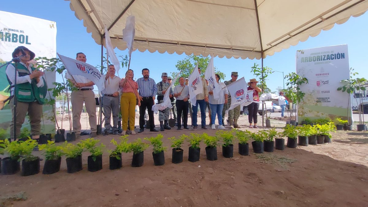 En Salvador Alvarado dan banderazo de inicio a jornada de arborización Estatal