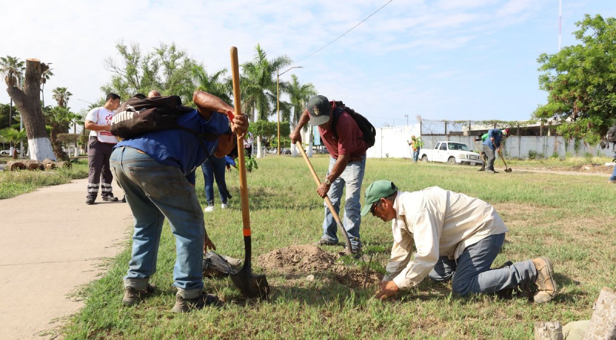 Realizan jornada de reforestación en Navolato por el Día Nacional del Árbol