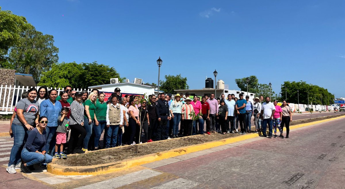 Con 300 árboles se une El Rosario a la Jornada Estatal de Arborización por el Día del Árbol
