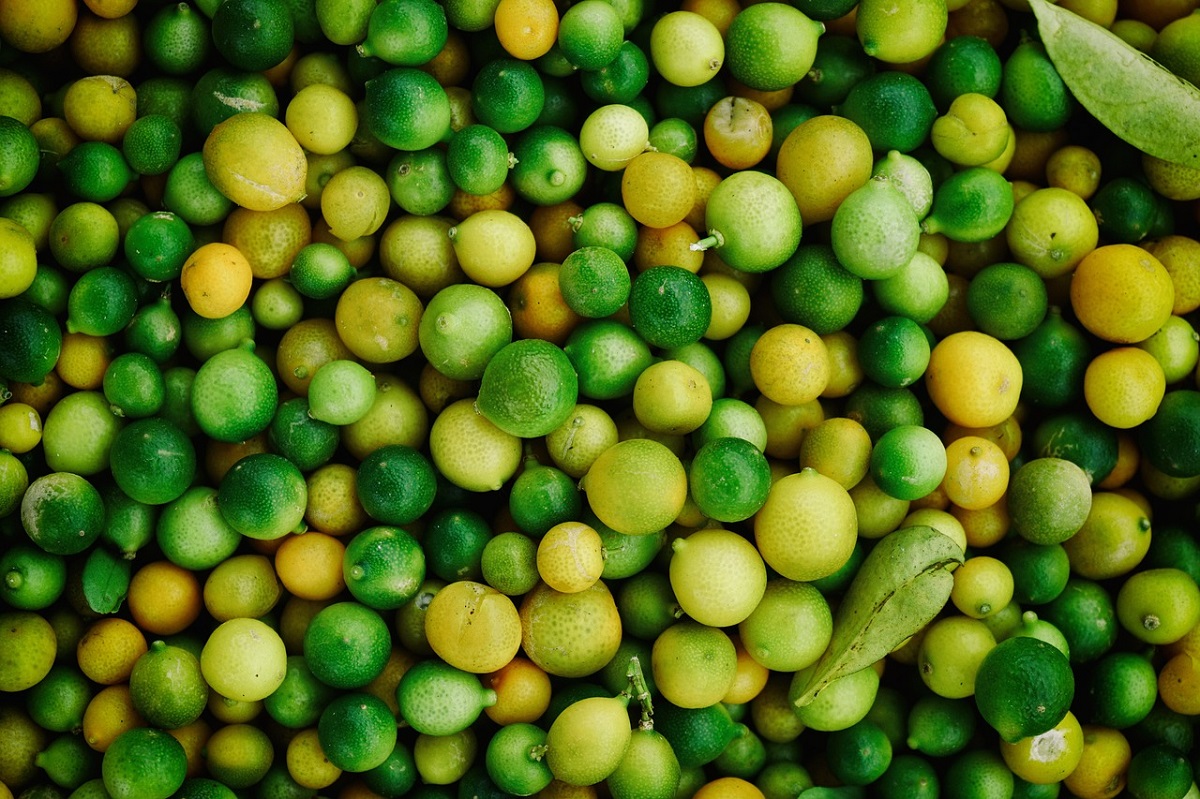 Productores de Escuinapa apuestan por cultivos más jugosos; los cítricos comienzan a ser la alternativa