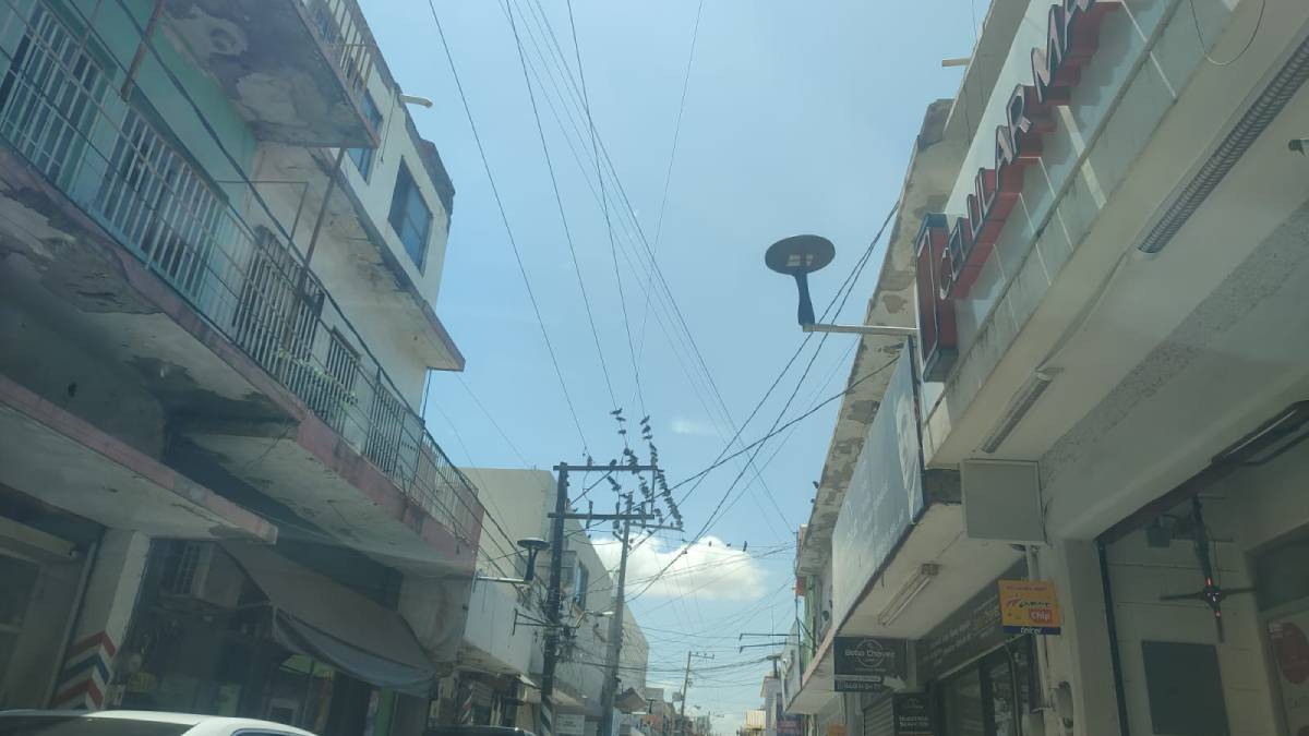 Ahome tiene mejor iluminación, instalan mil 200 lámparas de mayor calidad en la ciudad: Servicios Públicos