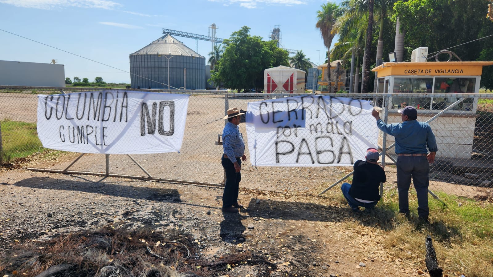 “Cerrado por mala paga”, productores de Guasave colocan lonas exigiendo pago de maíz
