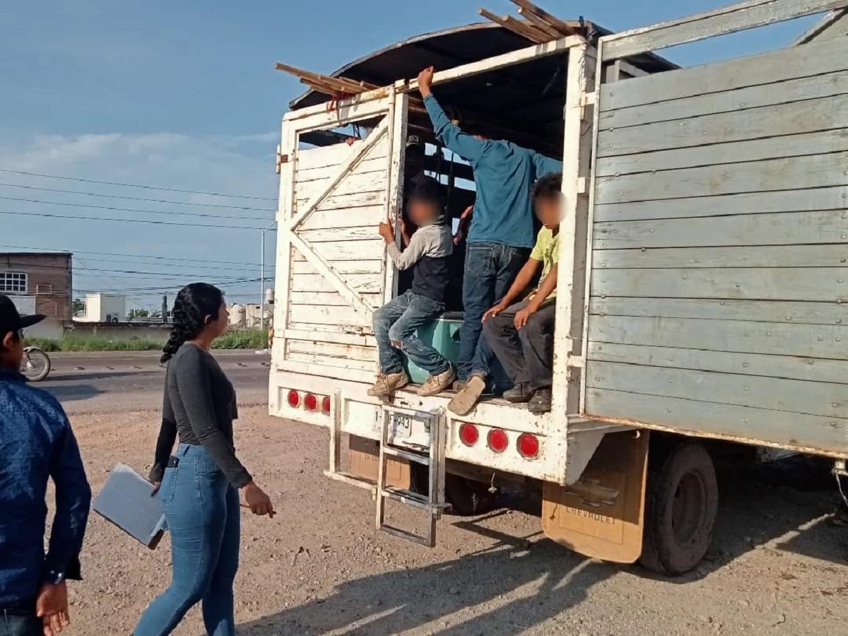 Detectan en Escuinapa a 50 niños que iban a realizar trabajos en los campos agrícolas