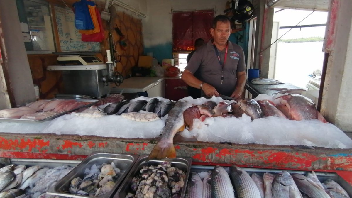 Pescadores en Ahome ponen su fe en Cuaresma y pueda repuntar el mercado en la demanda del producto del mar