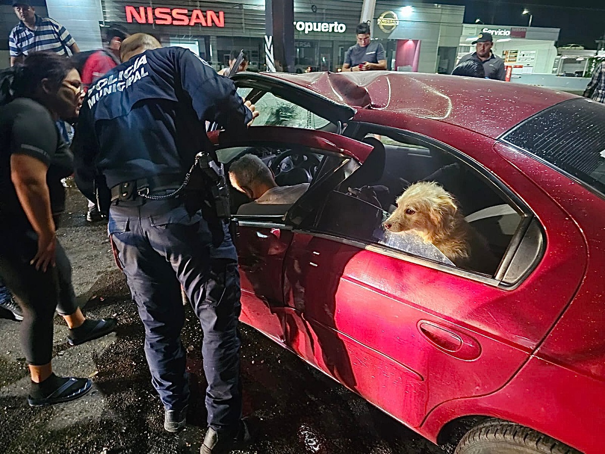 Adulto mayor y su perrito sufren fuerte accidente sobre el bulevar Zapata en Culiacán