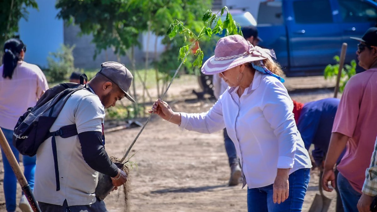 ¡Ponen a Mazatlán más verde! Con más de 3 mil árboles se une el puerto a la reforestación masiva