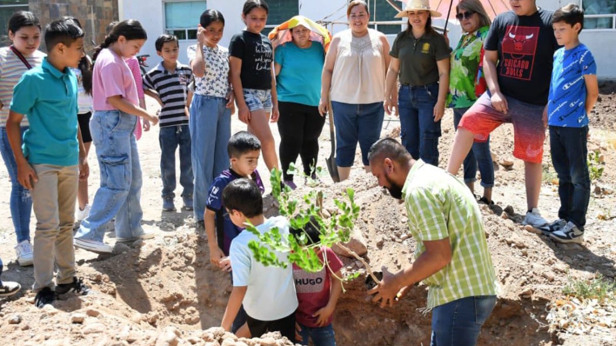 En Angostura se plantarán mil árboles en el marco del Día Mundial del Árbol