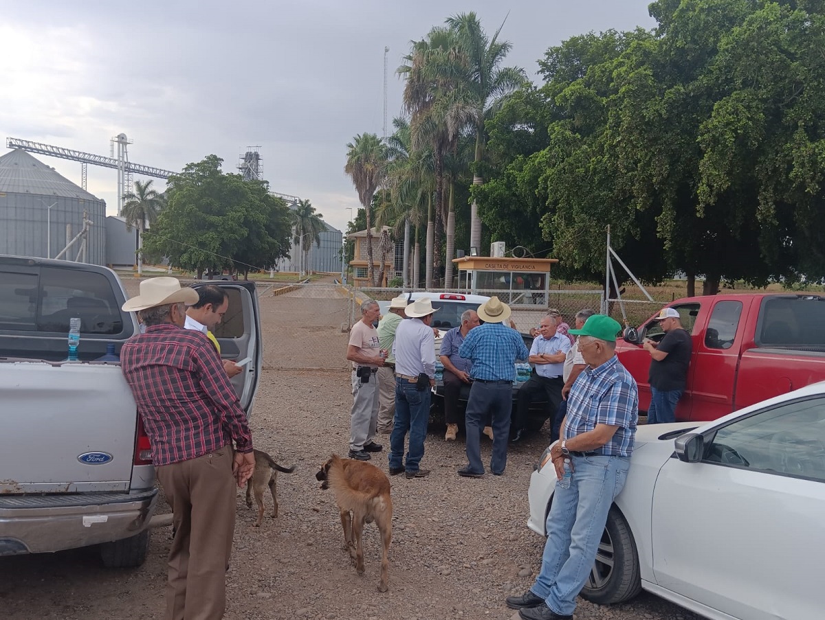 “Queremos que nos liquiden para pagar cuentas”; productores de Guasave ¡No tienen ni para la gasolina!