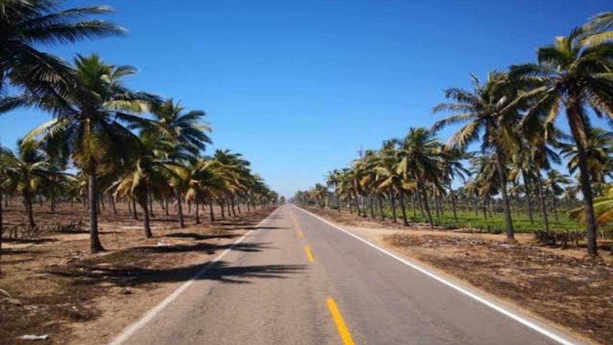 ¿Se podrá? Proyecto carretera costera Mazatlán-Escuinapa costaría entre 300 a 500 mdp