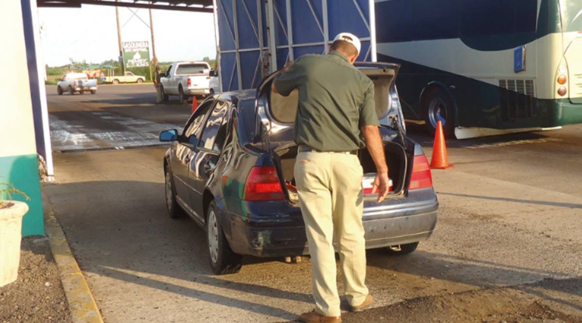 Cesavesin ha retenido y destruido 7 toneladas de fruta en puntos de Verificación Fitosanitaria