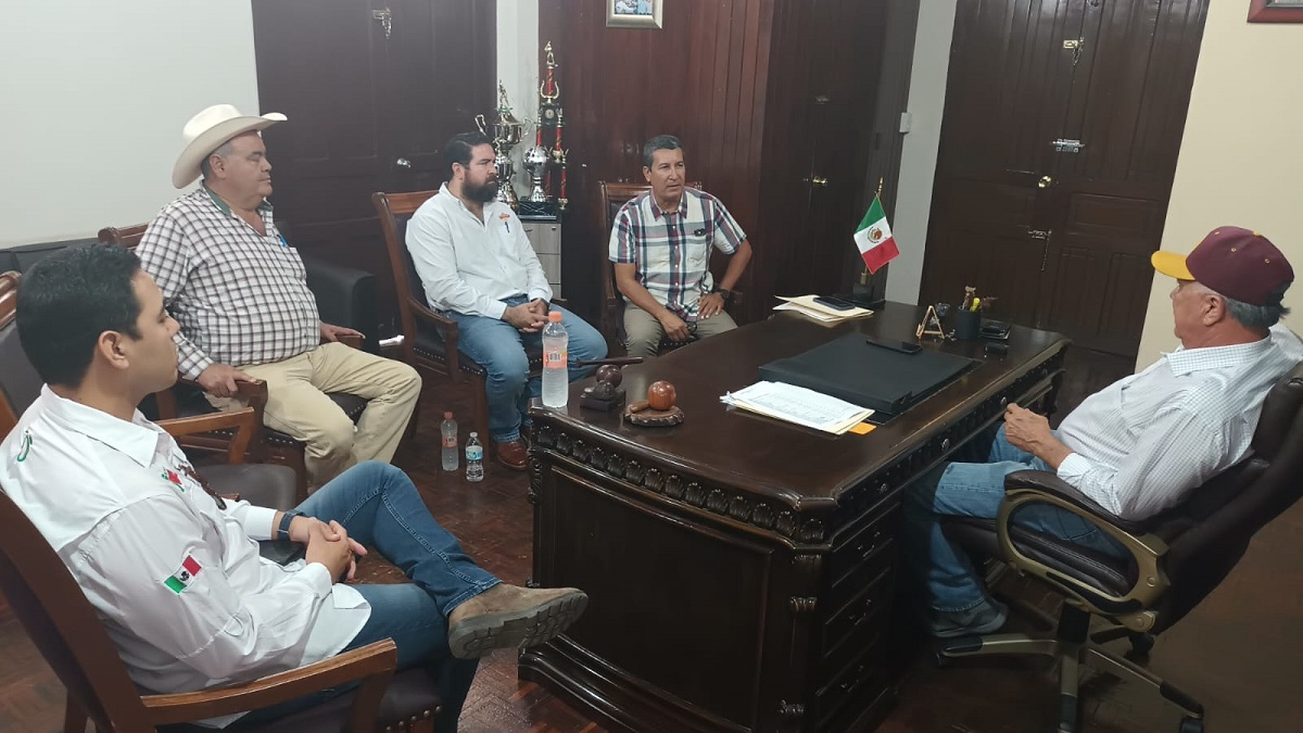 El Fuerte se suma a las acciones para atacar el robo hormiga de mango; pondrán mayor atención en zonas
