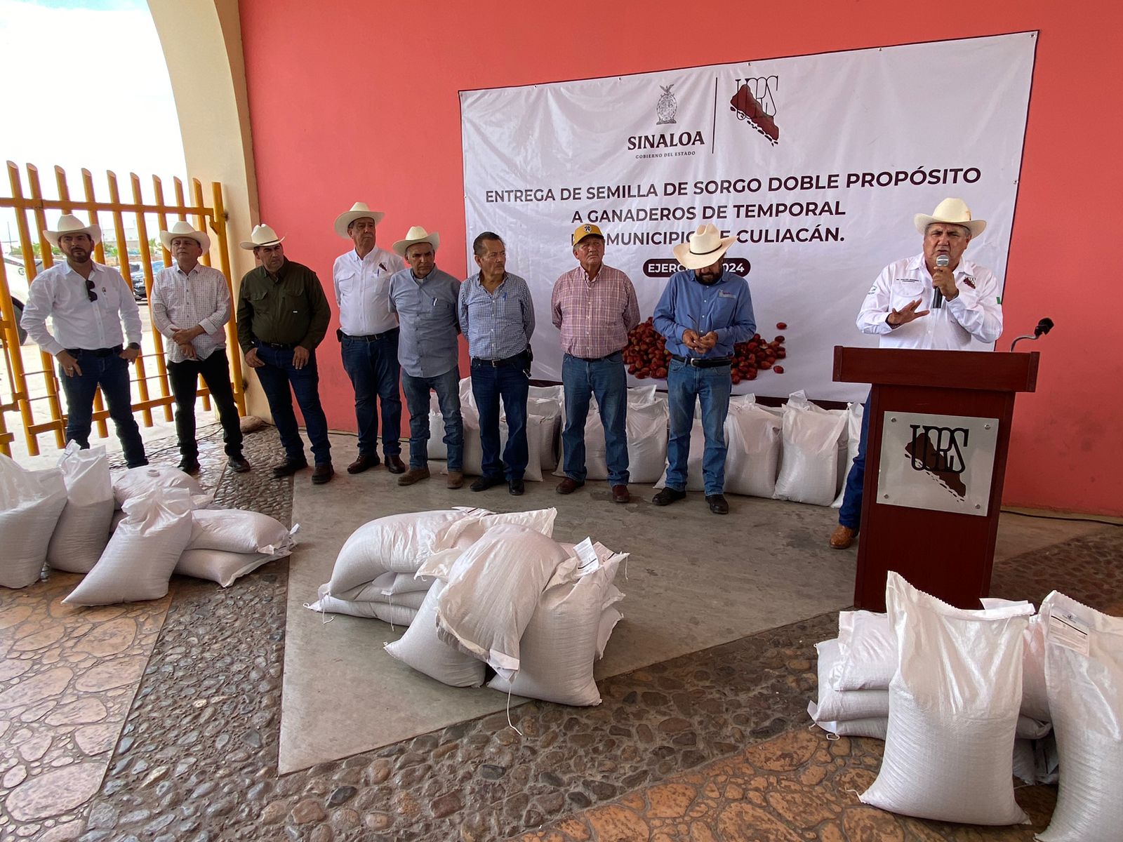 Inicia UGRS la dispersión de semilla de sorgo doble propósito para ganaderos de temporal