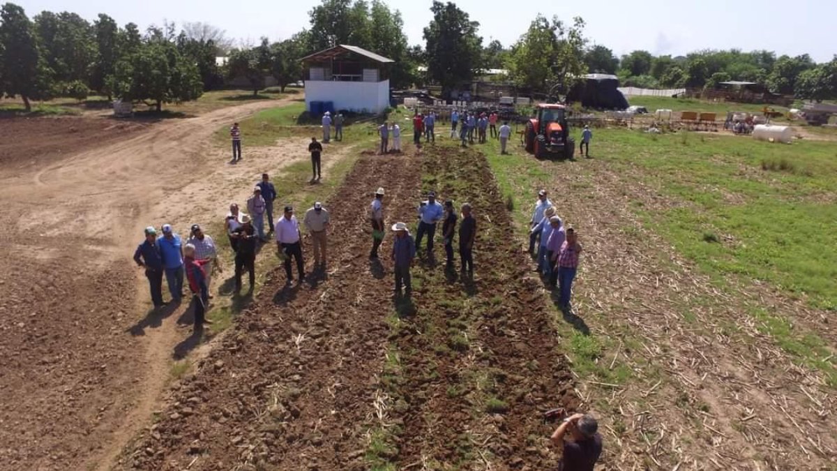 Agricultores valoran presentar iniciativa para regulación de insumos para el campo en Sinaloa: LCA