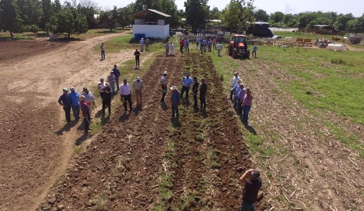 Campesinos de Sinaloa inician su ciclo de siembras limitados en recursos y con miedo a los mercados