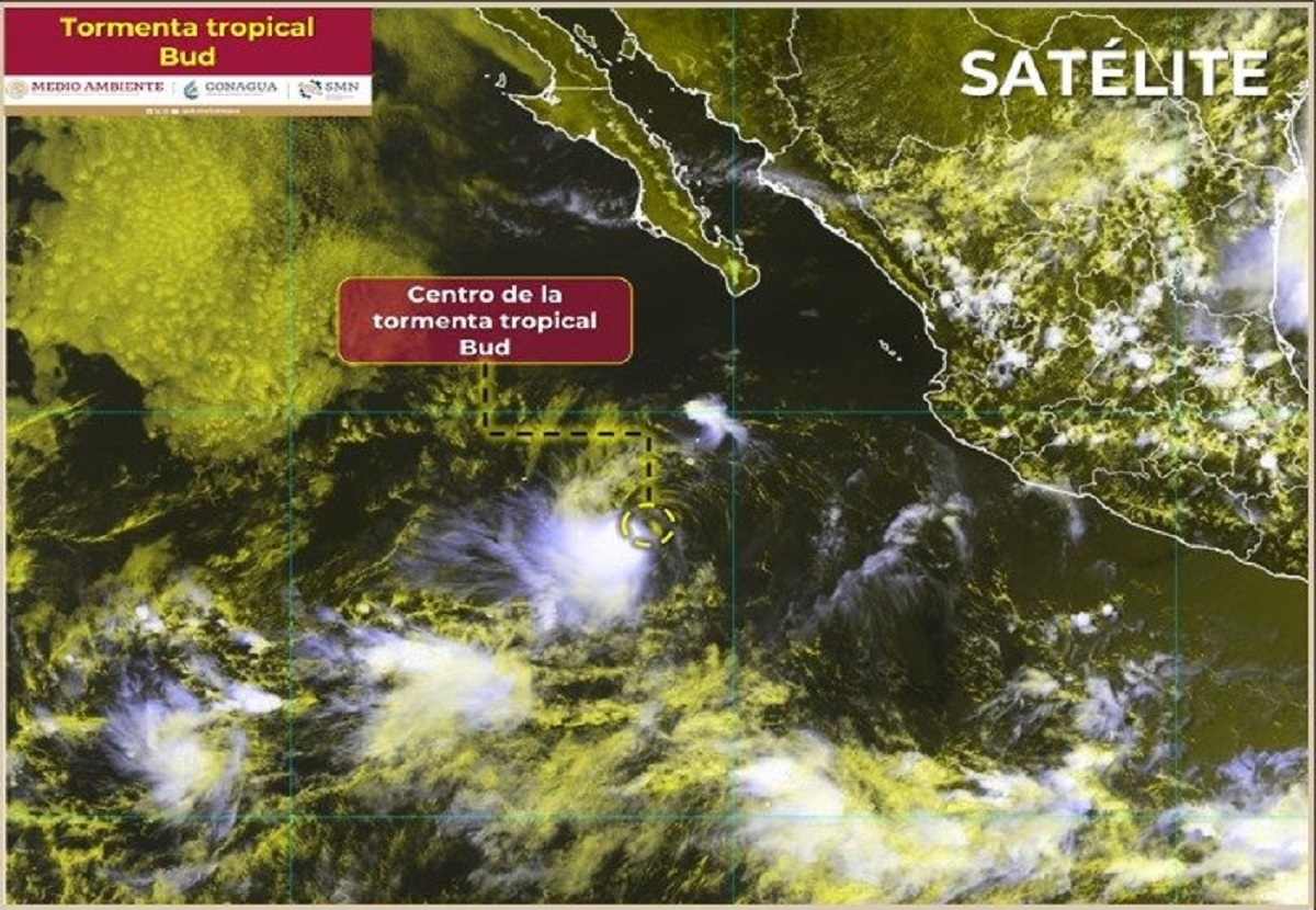 ¿Hacia dónde se dirige? Se forma la Tormenta Tropical ‘Bud’ en el Pacífico