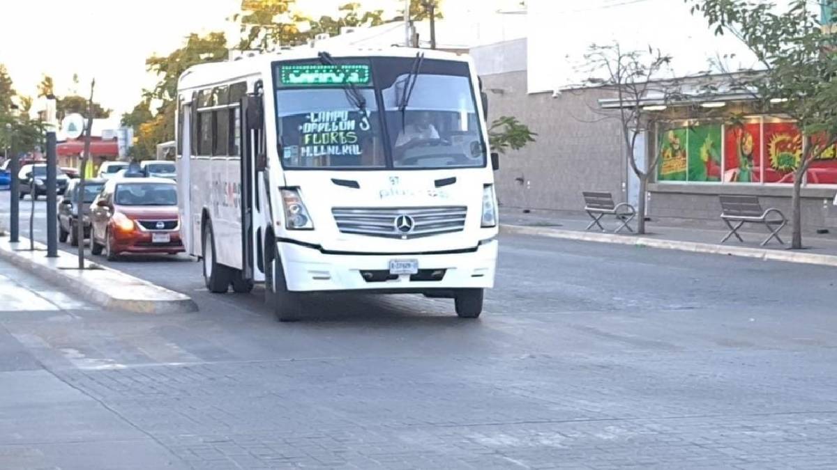 Transporte público urbano en Los Mochis