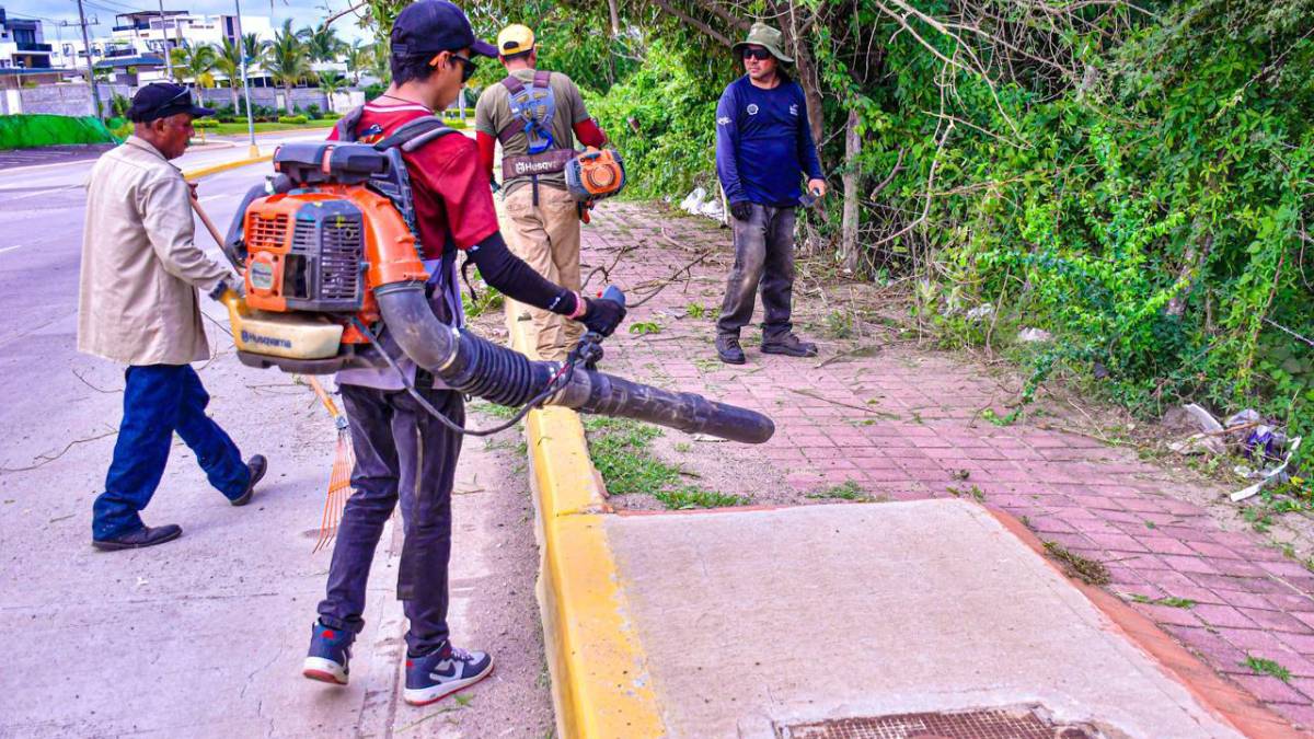 Le dan su limpieza a la avenida Paseo del Pacífico en Mazatlán como un acceso principal de la ciudad