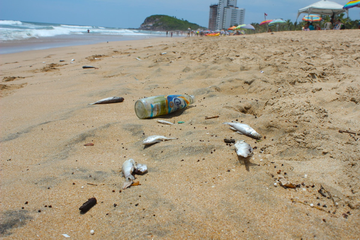 Se registra mortandad de peces en playas de Cerritos por contaminación del Estero del Yugo en Mazatlán