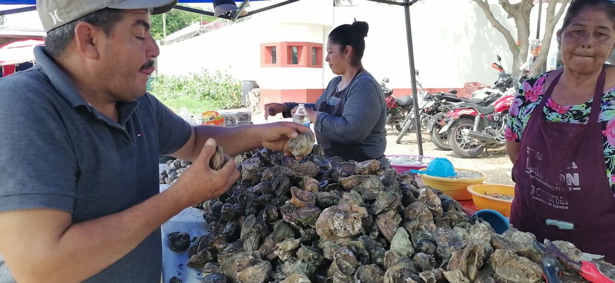 Venta de ostiones en el embarcadero de la Isla de la Piedra 4