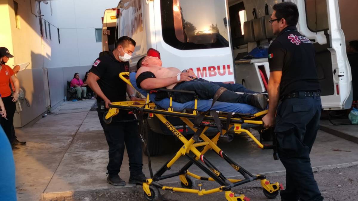 Abejas atacan a cuatro personas en Higuera de Zaragoza, Ahome
