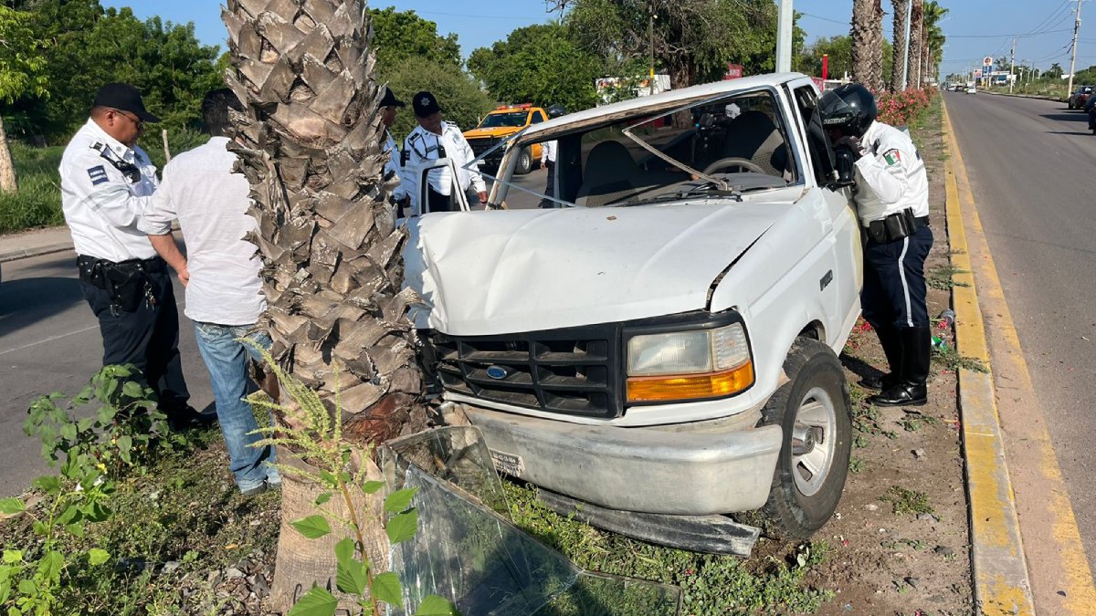 Conductor pierde el control y se impacta contra una palmera en el bulevar Centenario de Los Mochis