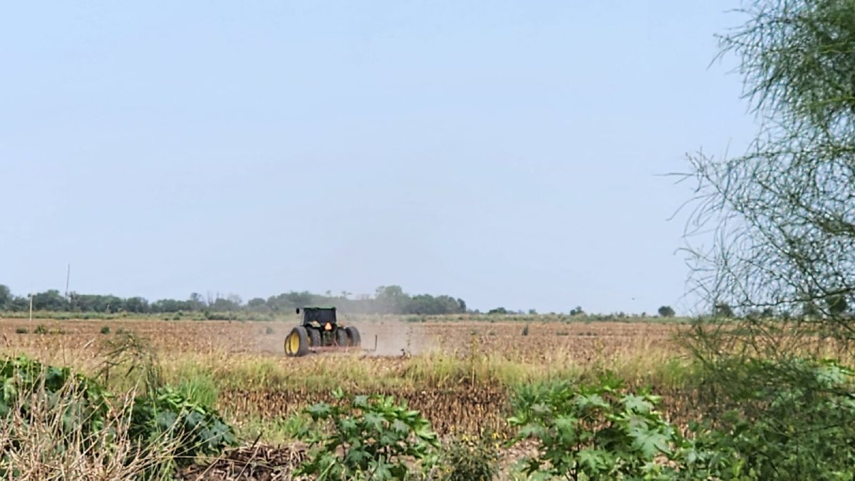 Sin apoyo del Gobierno para comercializar, sin duda la agricultura de Sinaloa está en los días finales: AARFS