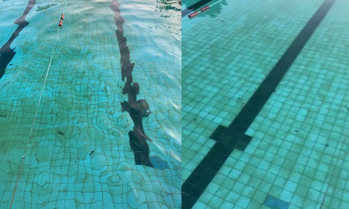 “Aguas verdes”: Se quejan usuarios de la alberca de la ciudad deportiva municipal en Ahome