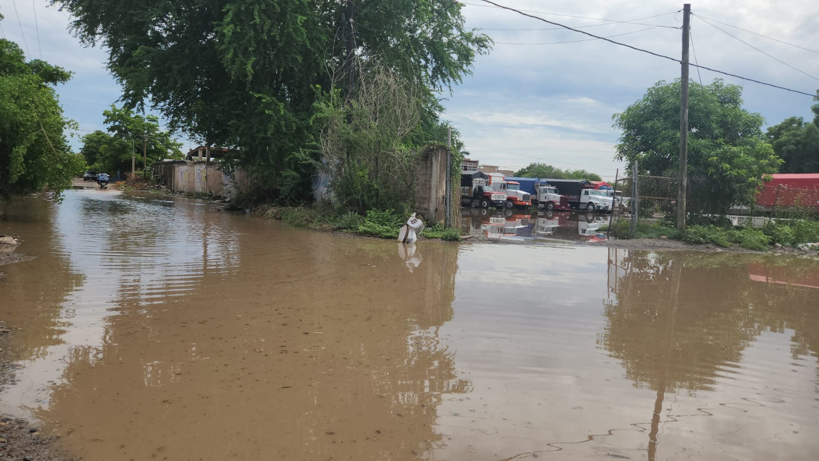¡Cayeron 68 milímetros! Se registra la lluvia más copiosa de la temporada en Guasave