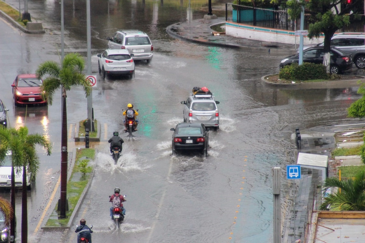 ¡Tras la chuleta! Ni la lluvia los detiene en Mazatlán