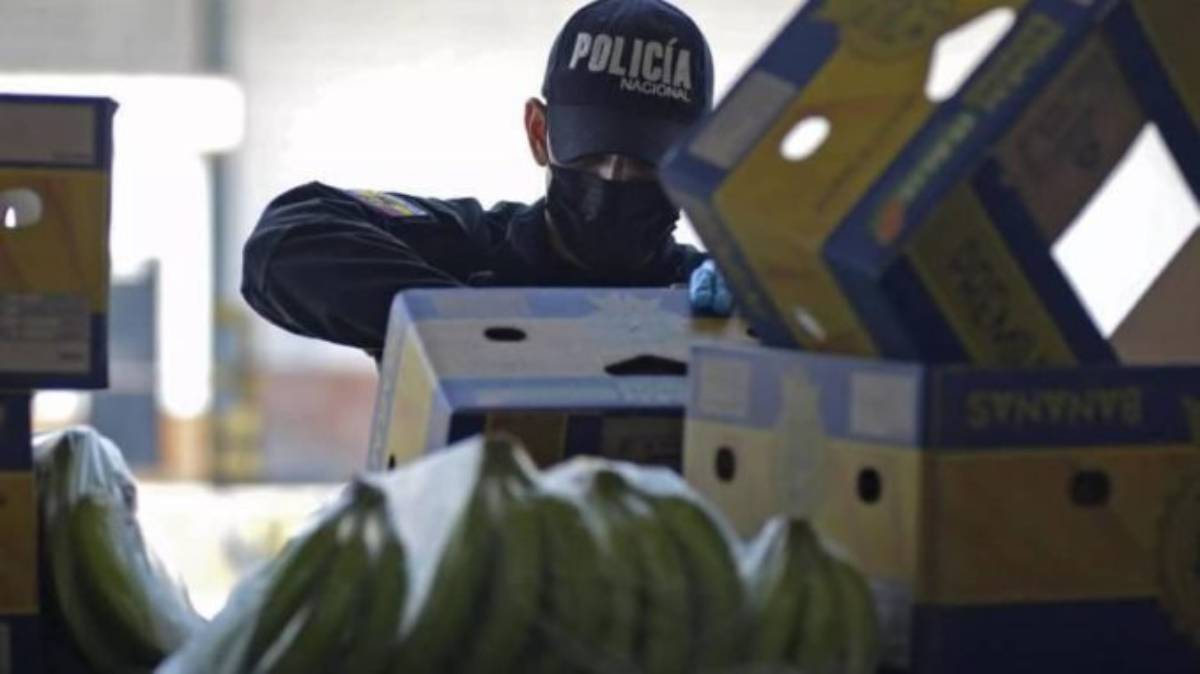 Guardia Costera Griega incauta $1.1 mdd de cocaína en contenedor de plátanos