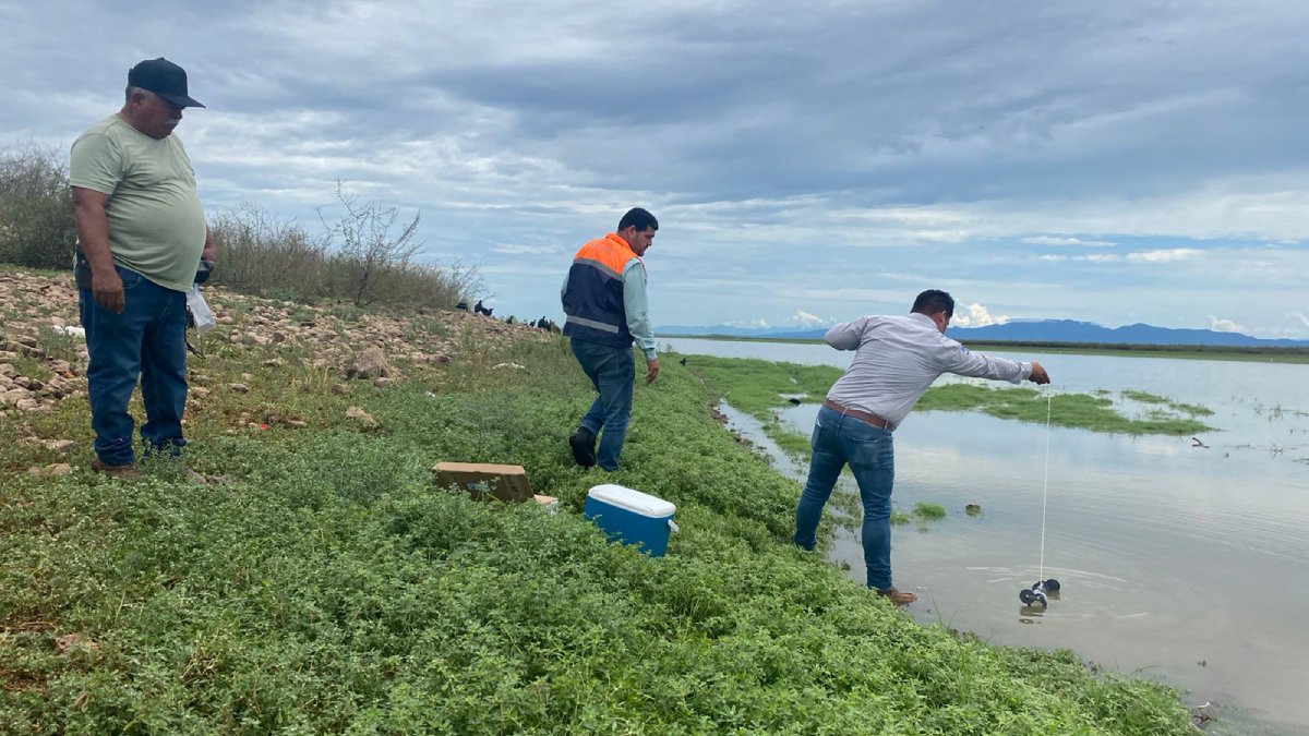 Tras la muerte de peces en las presas Eustaquio Buelna y Miguel Hidalgo Coepriss realiza muestreos