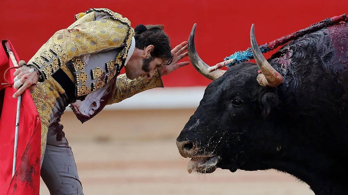 Diputados aprueban reforma de protección animal, pero excluyen corridas de toros y peleas de perros