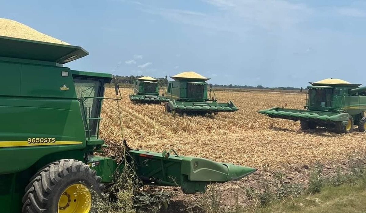 Preocupa a productores lentitud en pago de apoyo de 750 pesos para maíz por parte de Segalmex