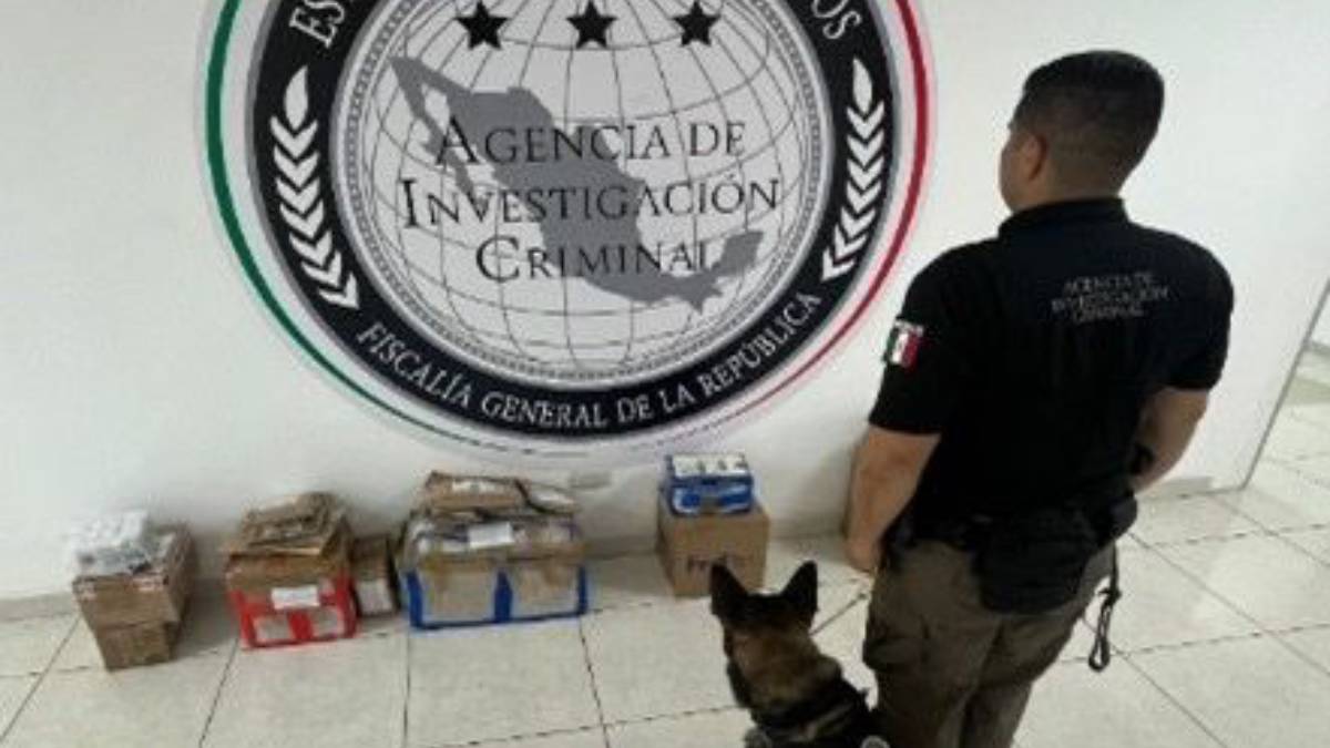 De nueva cuenta la FGR decomisa narcóticos en empresa de paquetería en Los Mochis