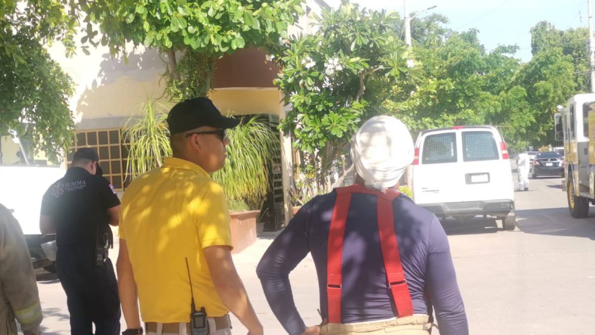 Se atienden todos los llamados por presencia abejas y se da prioridad cuando se trata de niños: PC en Ahome