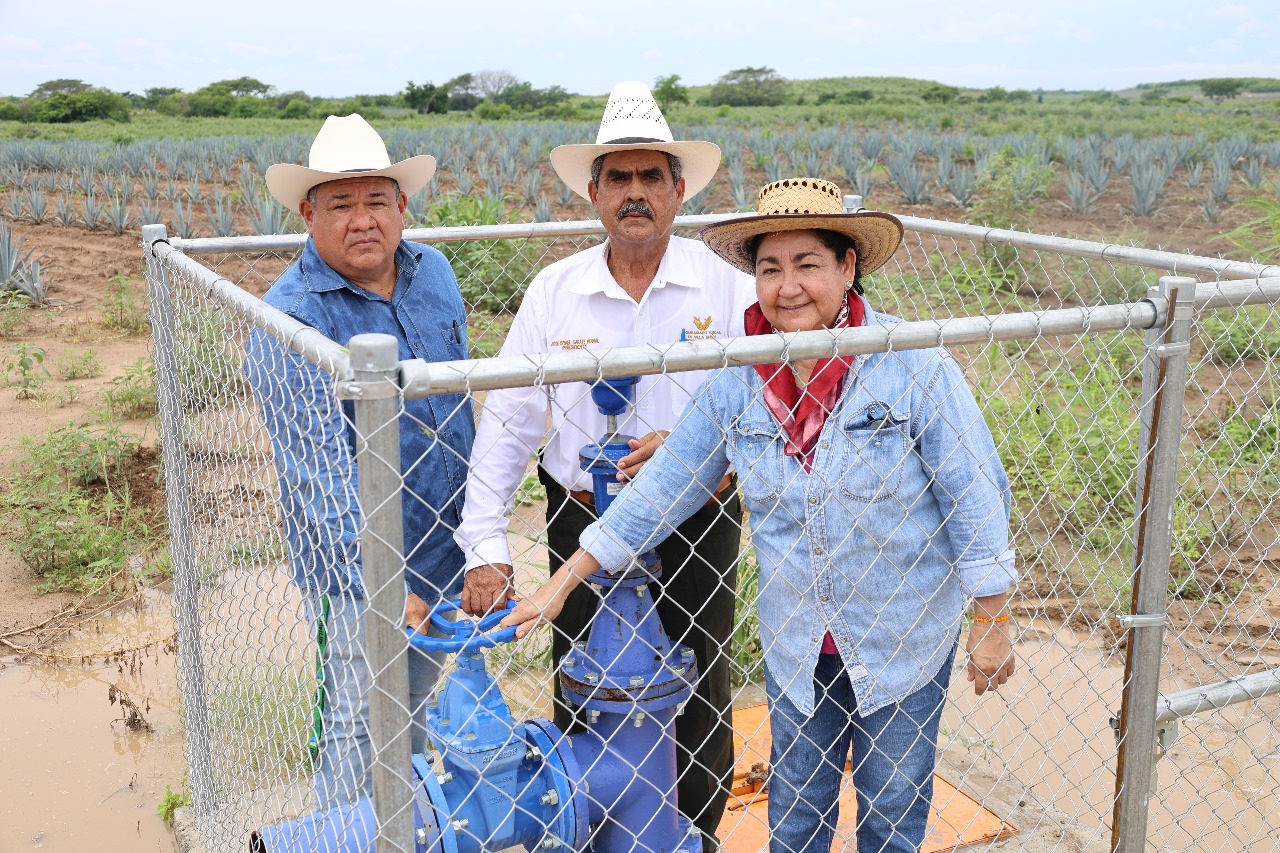 ¡Se logró! Entregan AMLO, Sheinbaum y Rocha distrito de riego de la presa Picachos en beneficio de 22 mil 500 hectáreas