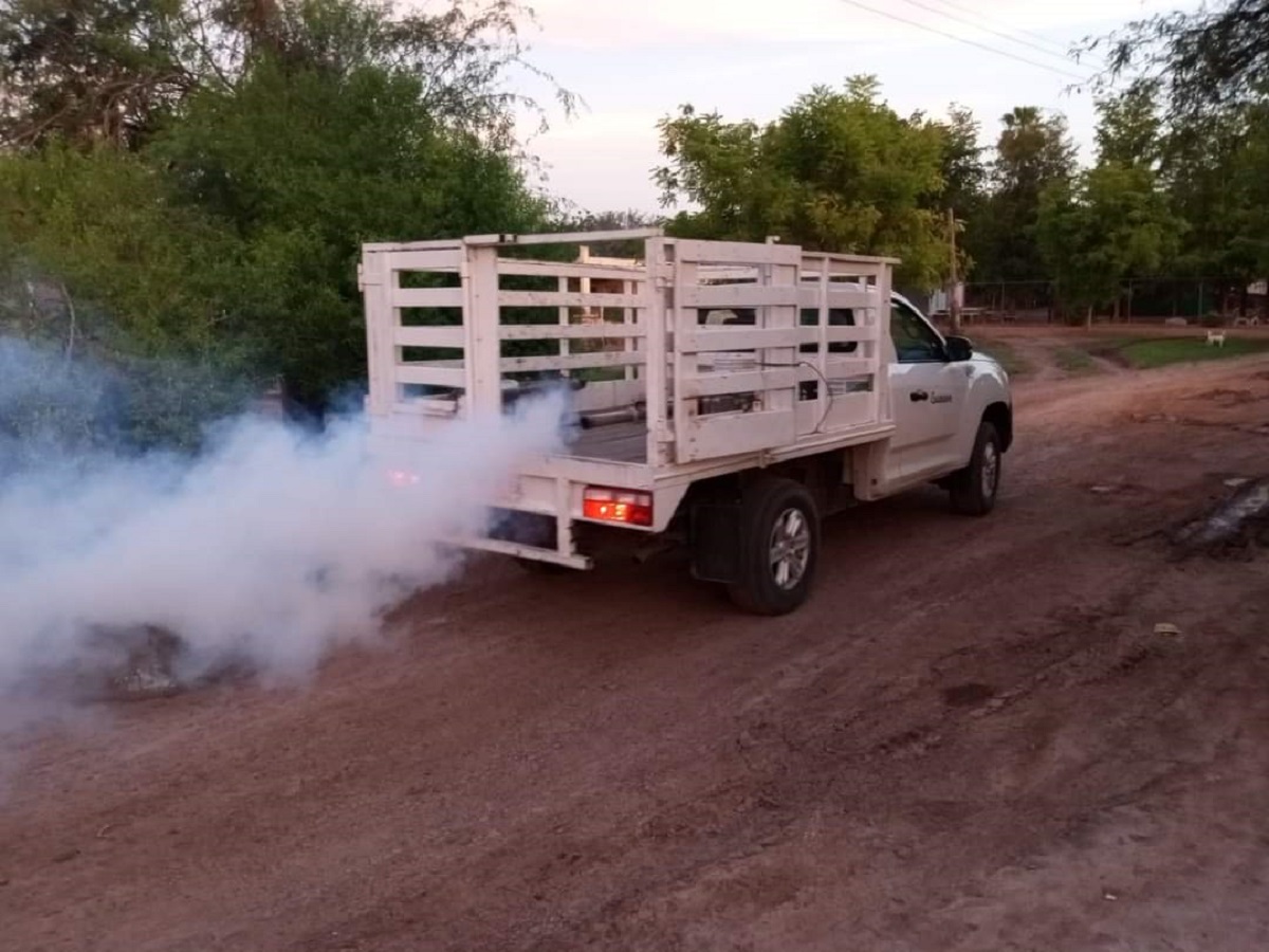 ¡Aguas con el dengue! Guasave ya rebasó el número de casos del 2023
