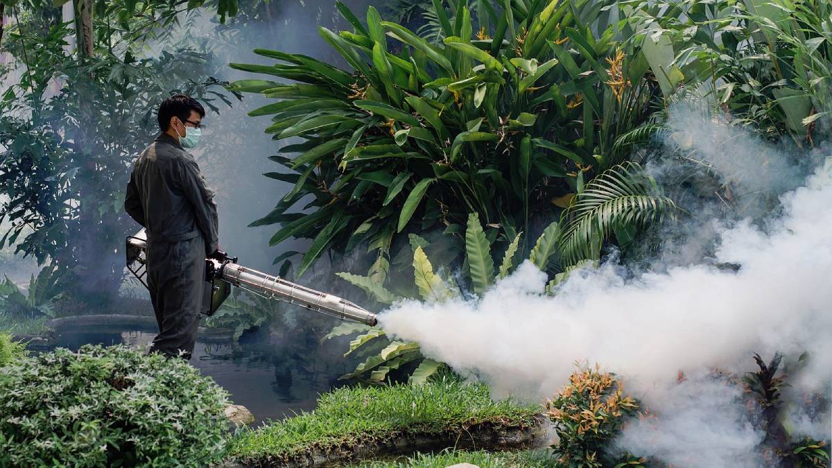 Estamos realizando fumigaciones contra el dengue en Culiacán y sus sindicaturas: Bienestar