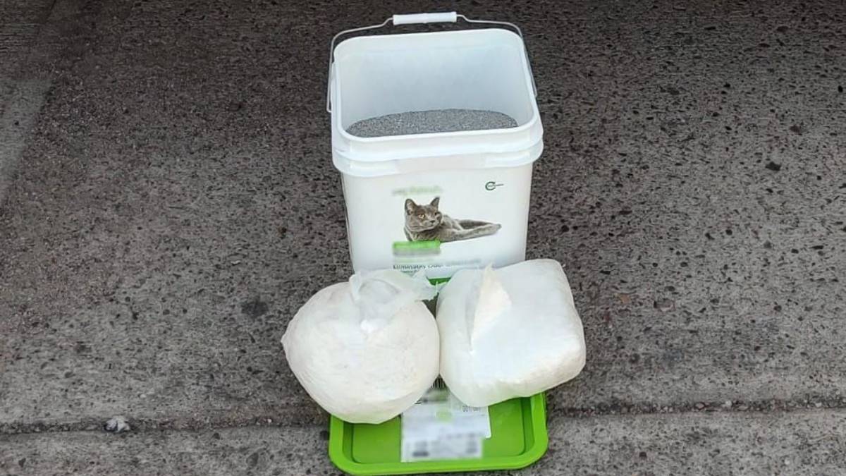 ¡Iba oculta en una cubeta con arena para gato! Guardia Nacional asegura droga en paquetería de Culiacán