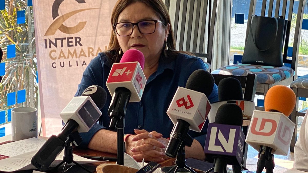 Designan a la sinaloense Imelda Castro vicepresidenta de la Mesa Directiva del Senado de la República