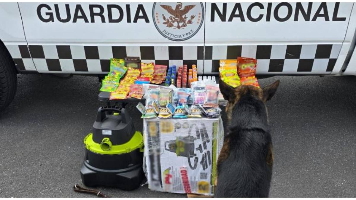 Guardia Nacional incauta vapeadores y dulces con droga en Zacatecas