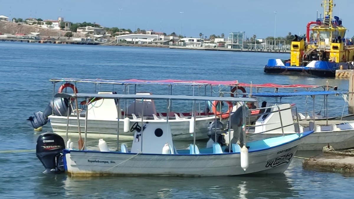 Prestadores de servicio turístico en el paseo de la bahía de Topolobampo cae 30% en su demanda