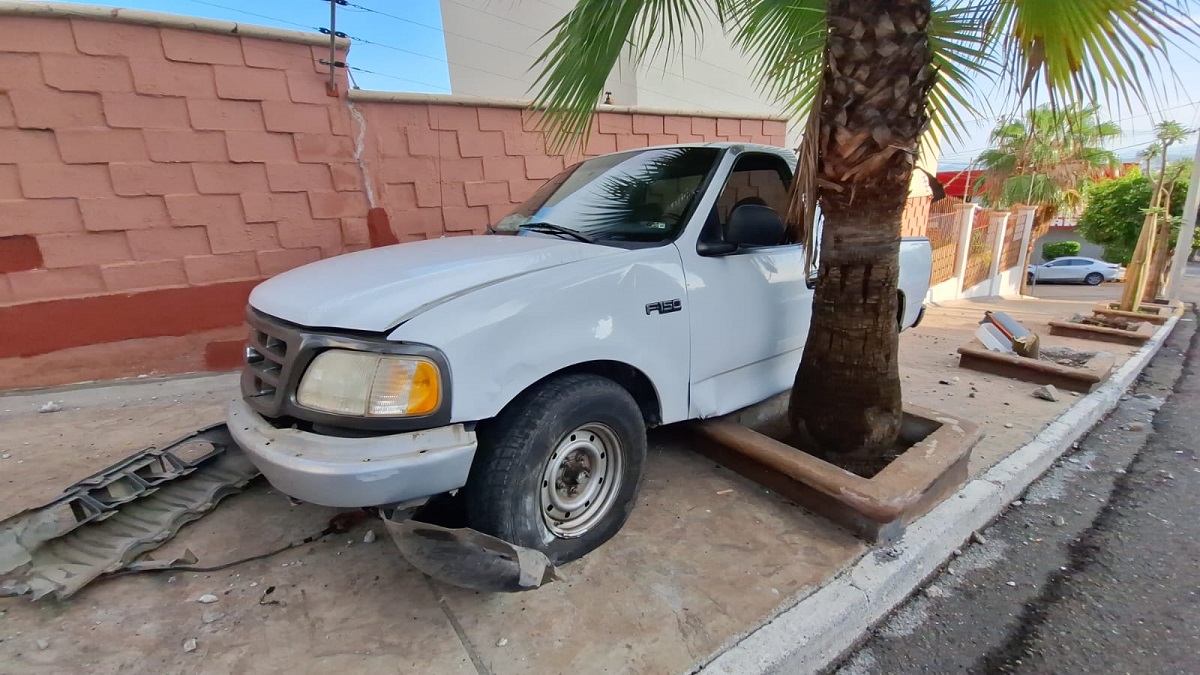 Se le atraviesa un animal y choca contra maceteros en Culiacán