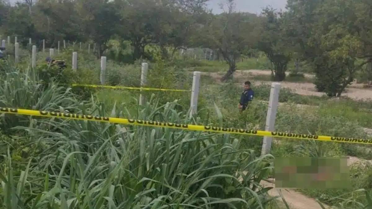 Localizan a sujeto sin vida en la carretera estatal El Rosario-Matatán