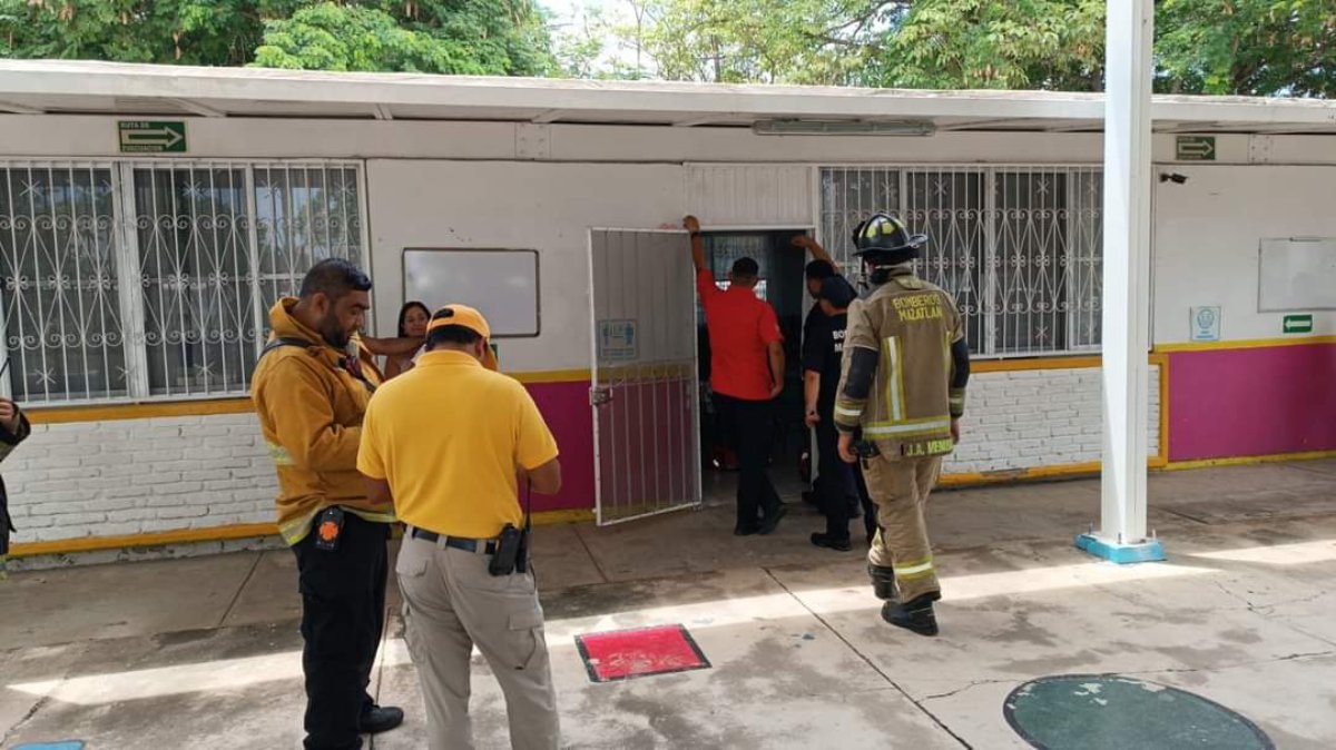 Niños lesionados tras ataque de abejas en kínder de Mazatlán